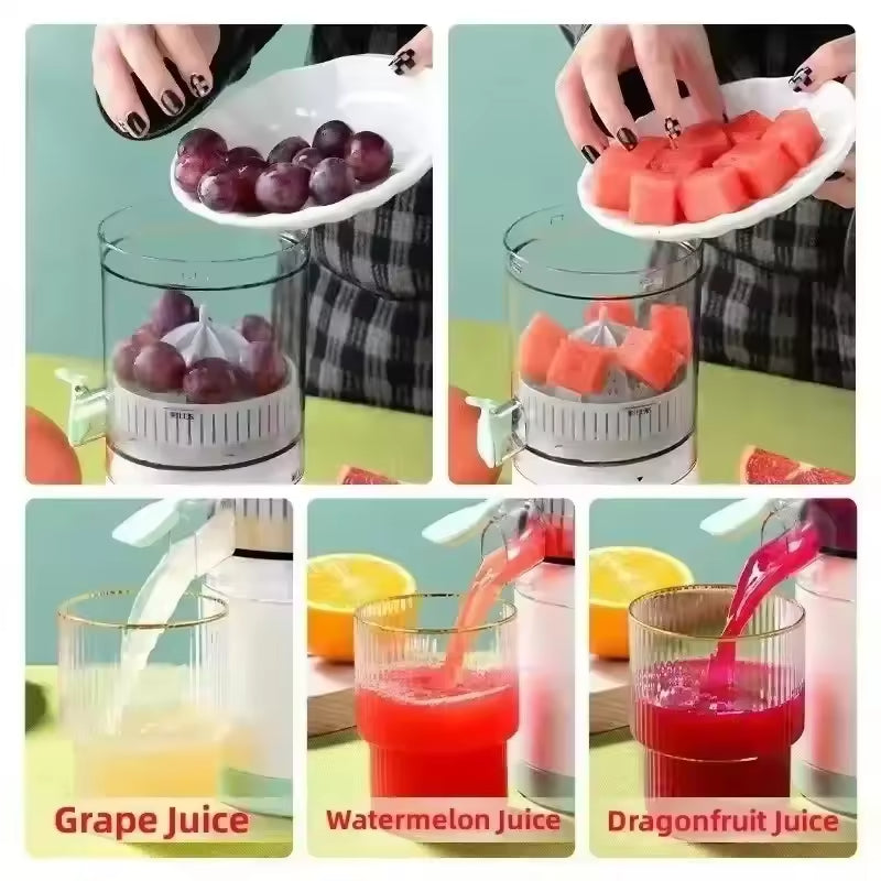 Fully Automatic Fruit Juicer – Bidirectional Spiral Extractor