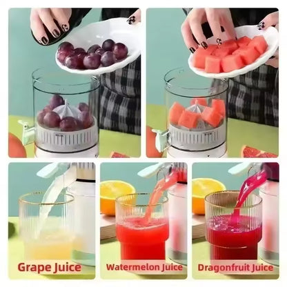 Fully Automatic Fruit Juicer – Bidirectional Spiral Extractor